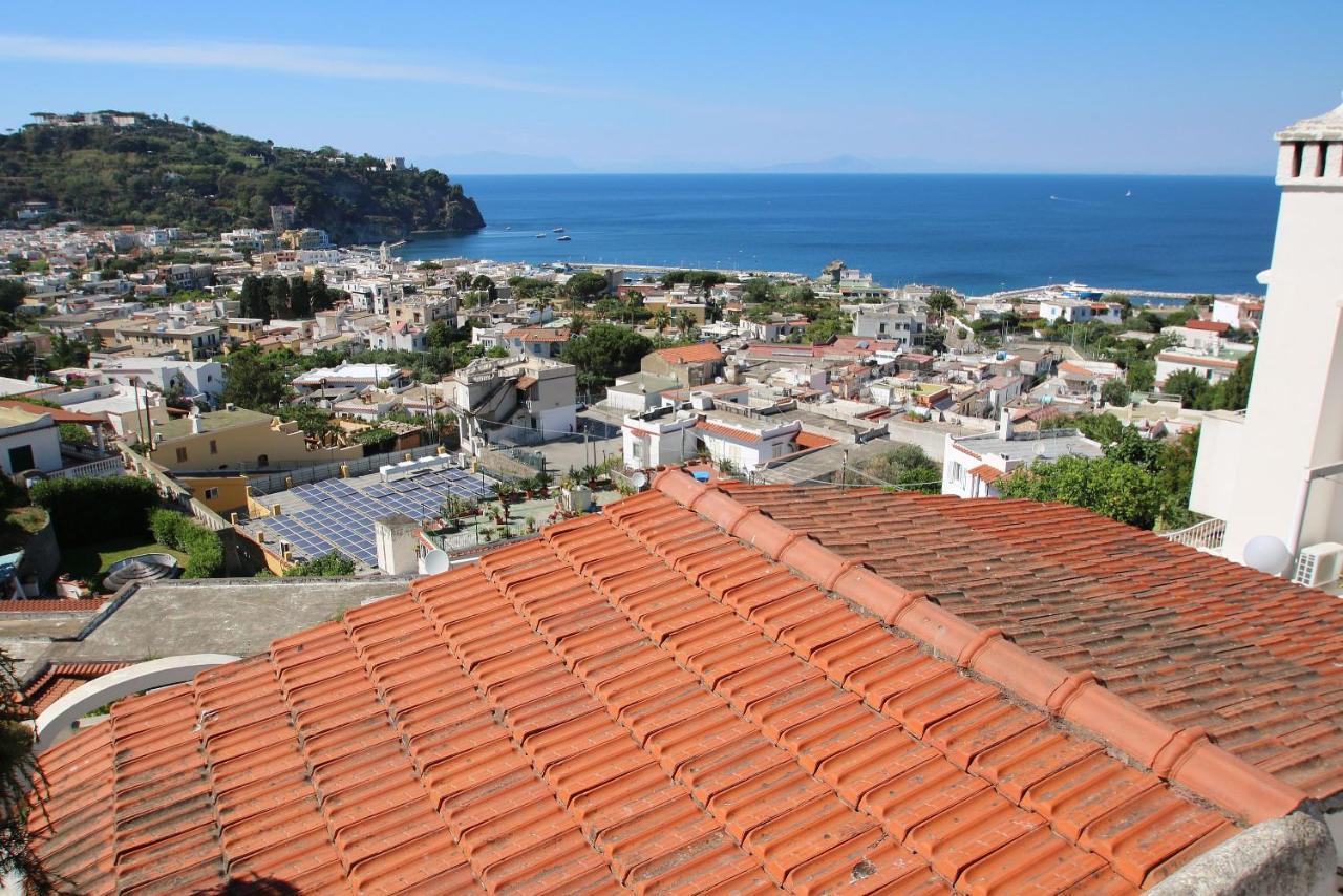 Lacco Terrace Solarium Lacco Ameno  Eksteriør billede