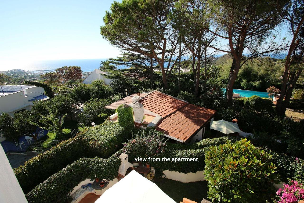 Lacco Terrace Solarium Lacco Ameno  Eksteriør billede